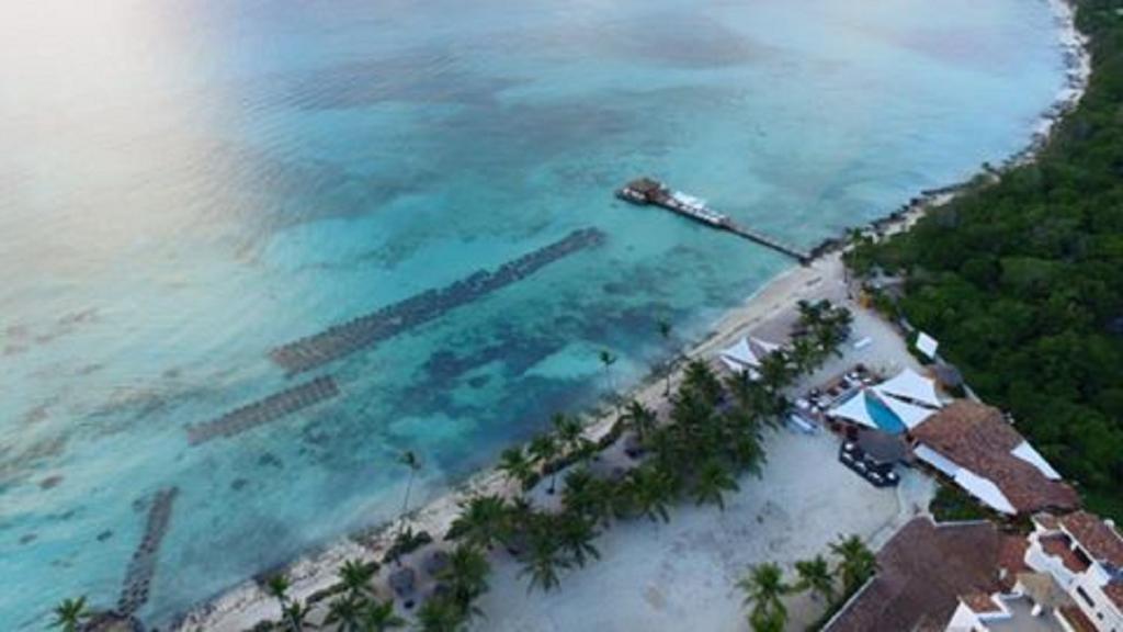 Ferienwohnung Cadaques Caribe Pez 103 Bayahibe Exterior foto